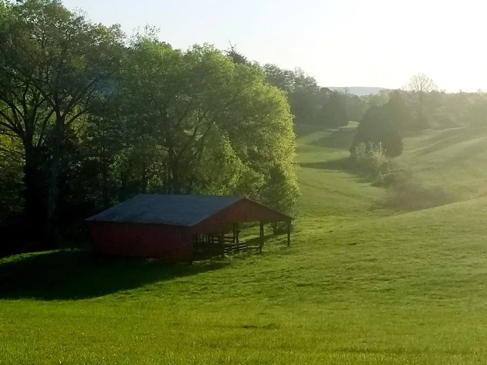0 John Burch Road Dunlap, TN 37327
