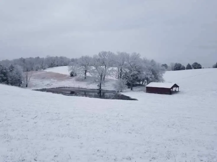 0 John Burch Road Dunlap, TN 37327
