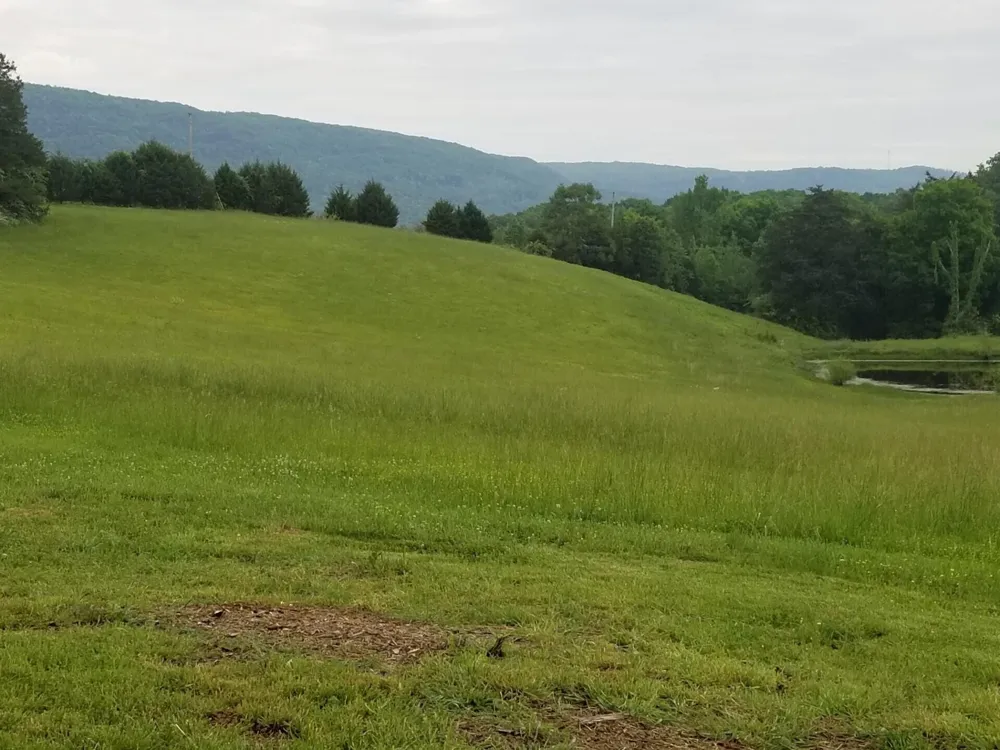 0 John Burch Road Dunlap, TN 37327