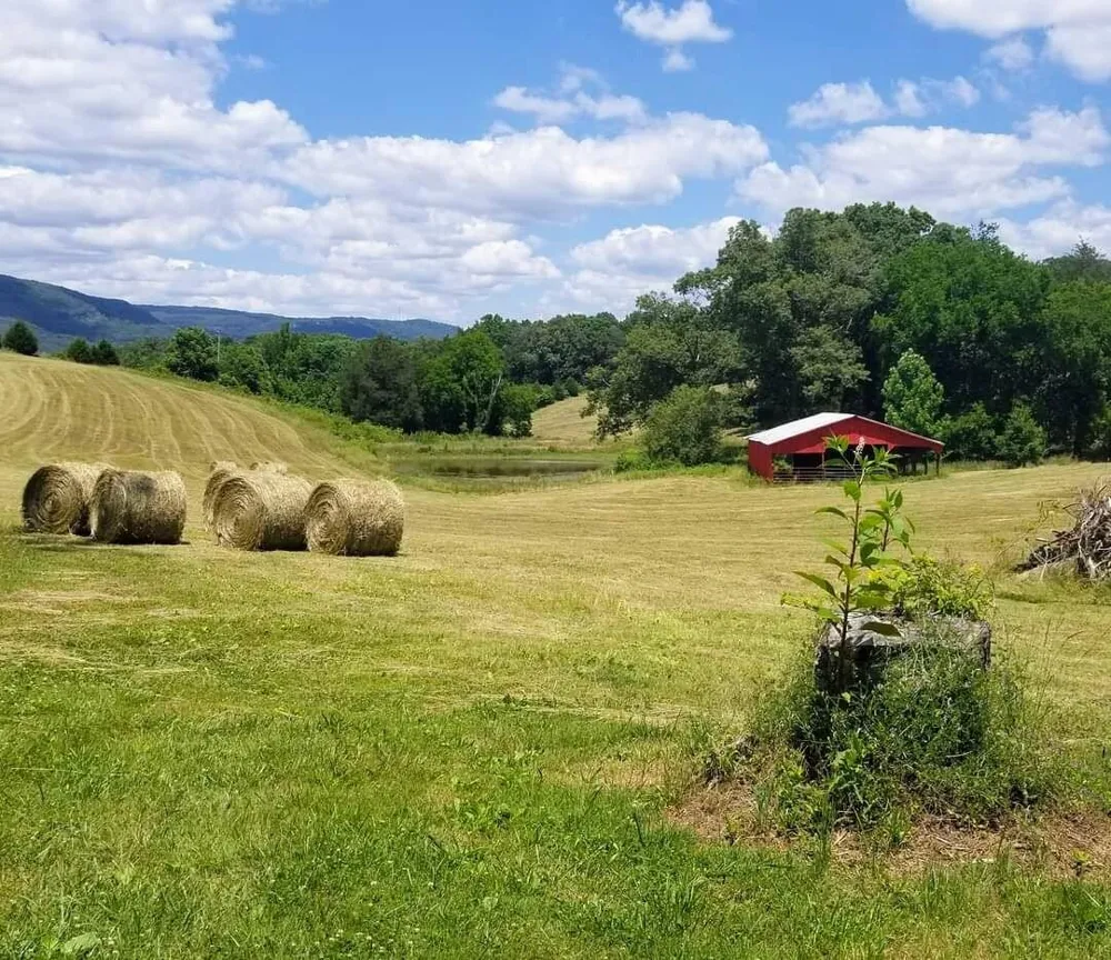 0 John Burch Road Dunlap, TN 37327