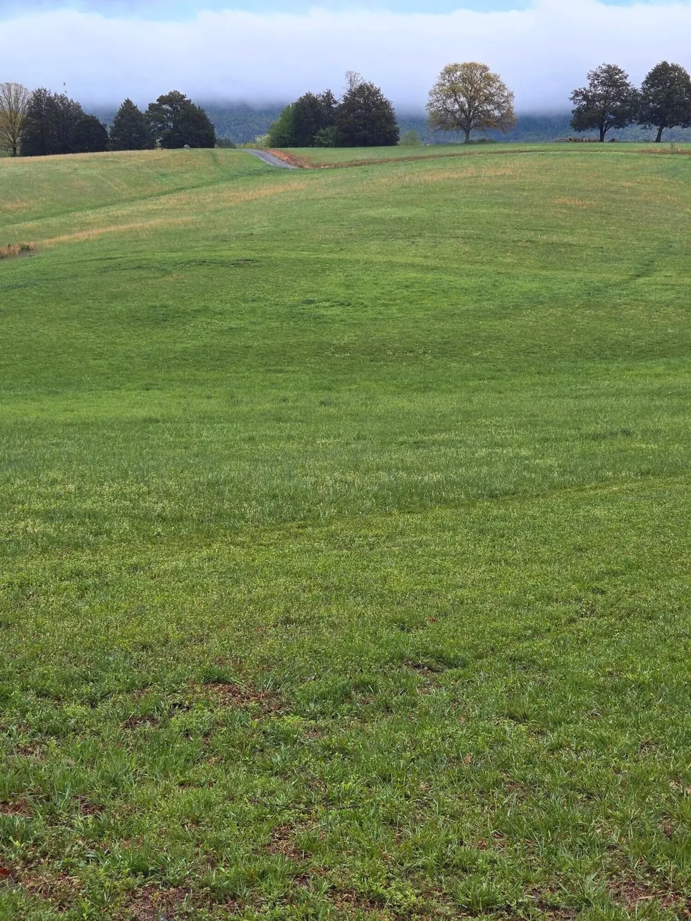 0 John Burch Road Dunlap, TN 37327
