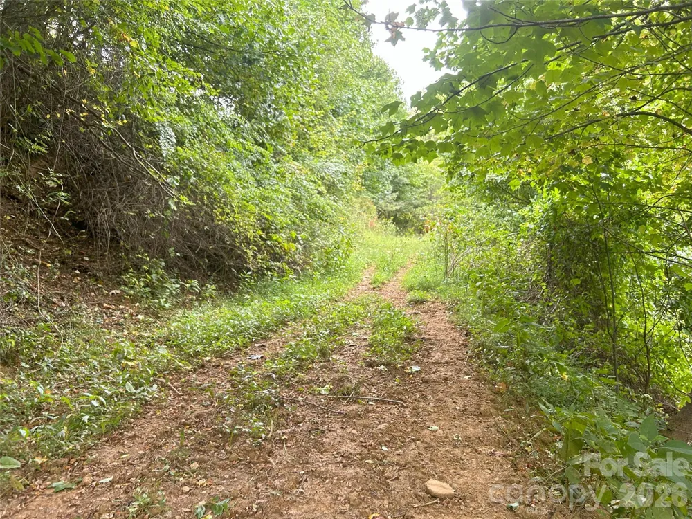 840 Ed Williams Road Zionville, NC 28698