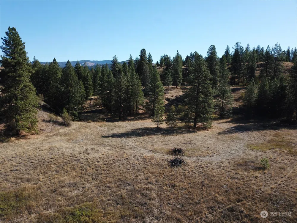 68 Jostin Lane Malo, WA 99150