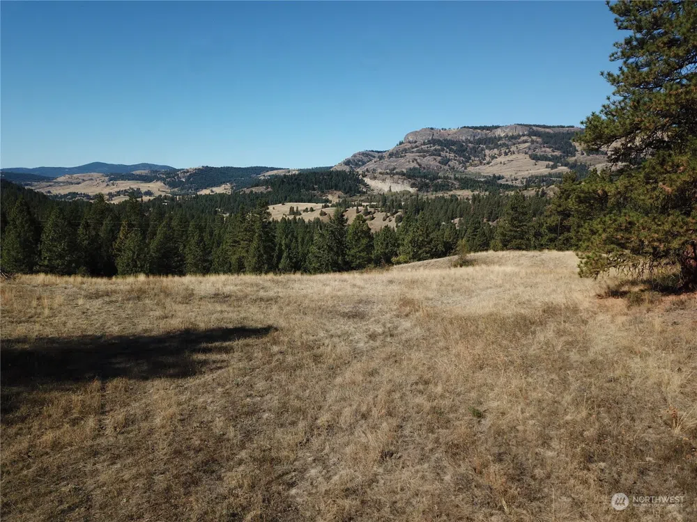 68 Jostin Lane Malo, WA 99150