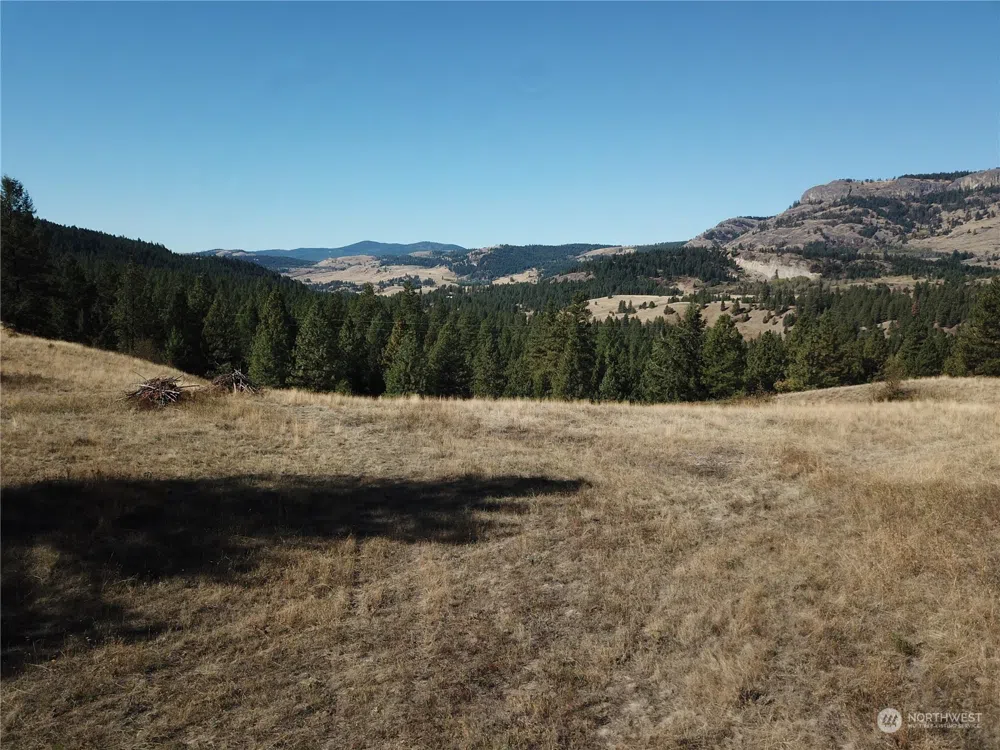 68 Jostin Lane Malo, WA 99150