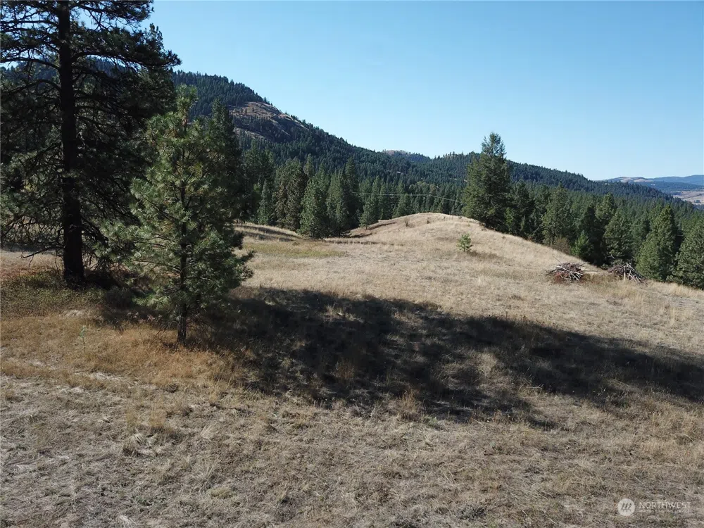 68 Jostin Lane Malo, WA 99150