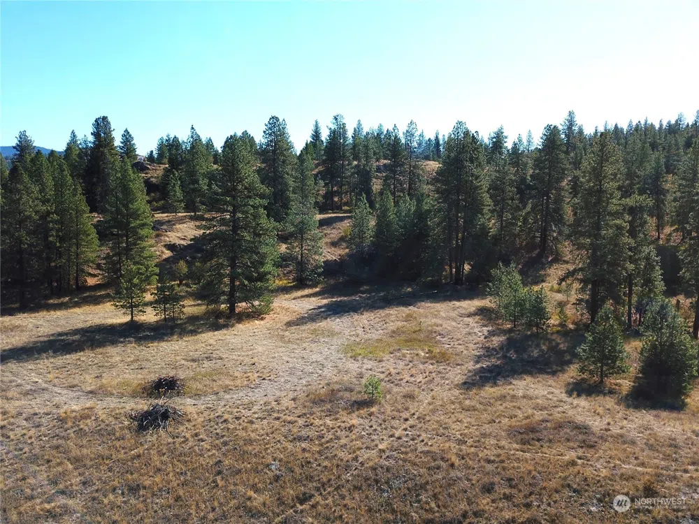68 Jostin Lane Malo, WA 99150