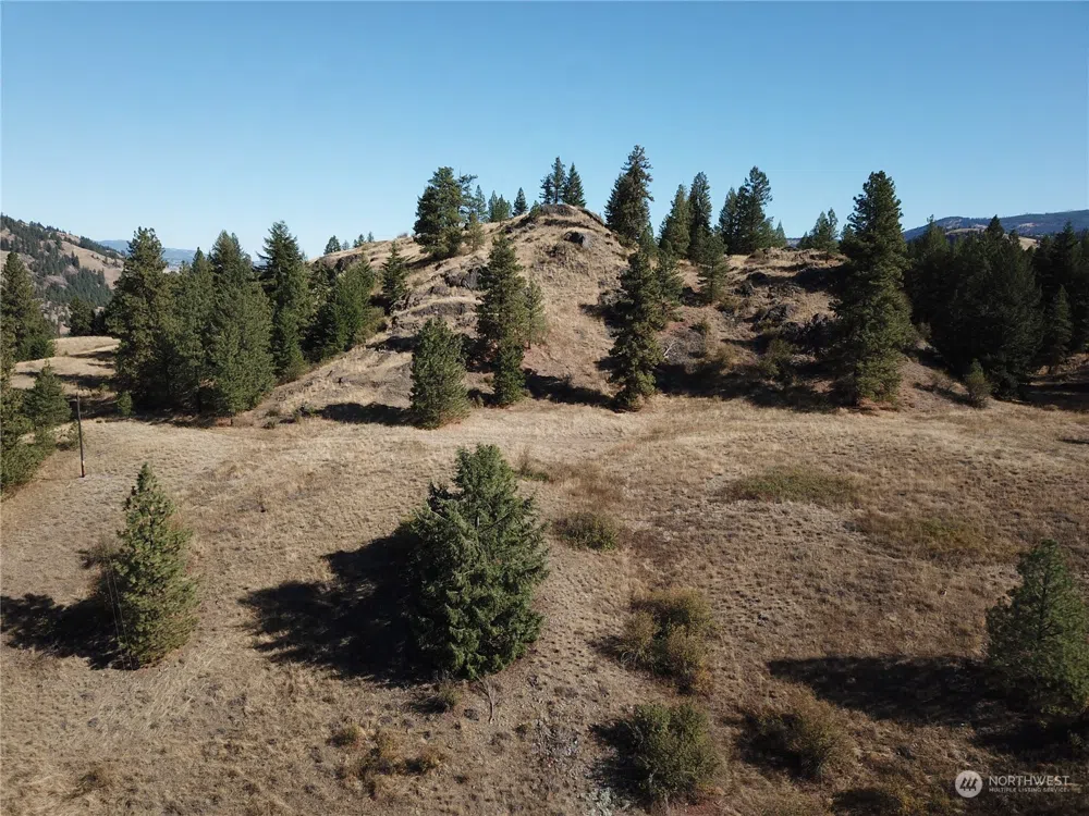 68 Jostin Lane Malo, WA 99150