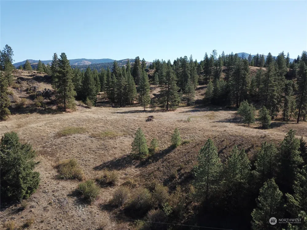 68 Jostin Lane Malo, WA 99150