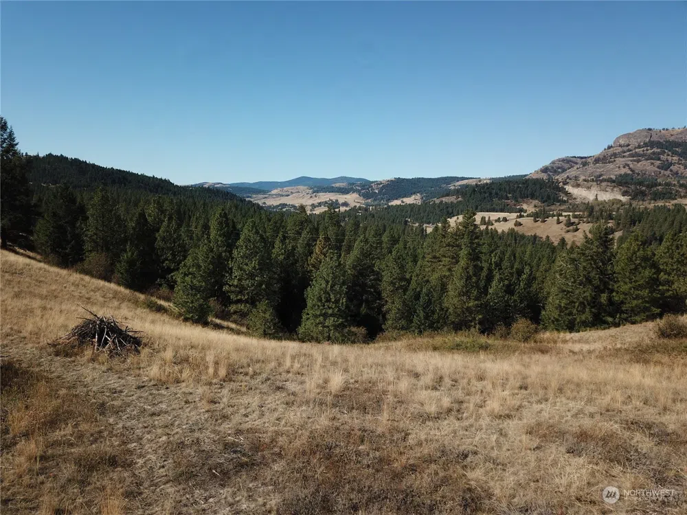 68 Jostin Lane Malo, WA 99150