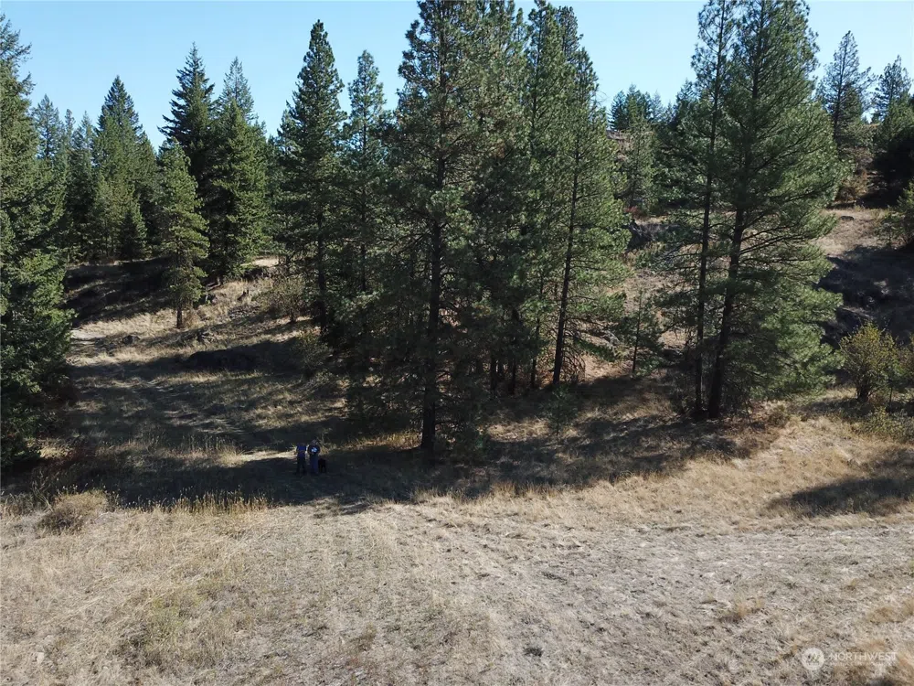 68 Jostin Lane Malo, WA 99150