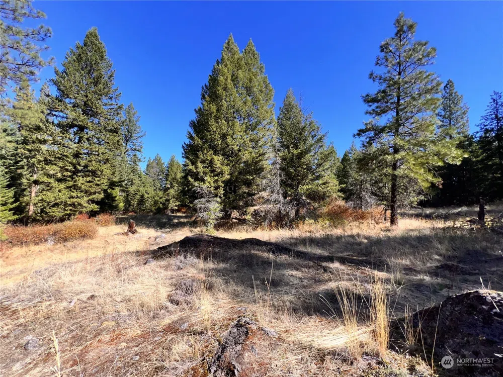 68 Jostin Lane Malo, WA 99150