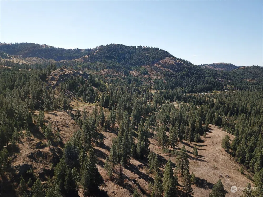 68 Jostin Lane Malo, WA 99150