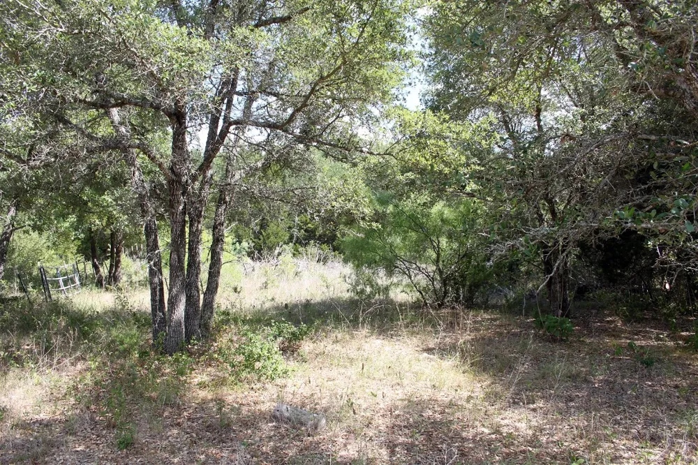 720 Green Acre Drive Dale, TX 78616
