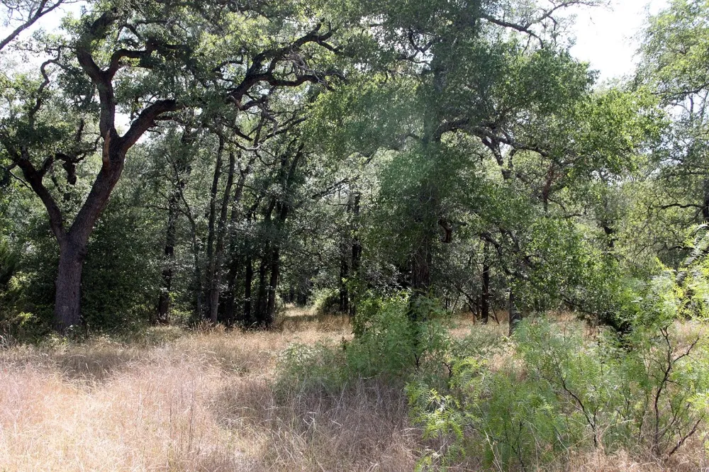 720 Green Acre Drive Dale, TX 78616