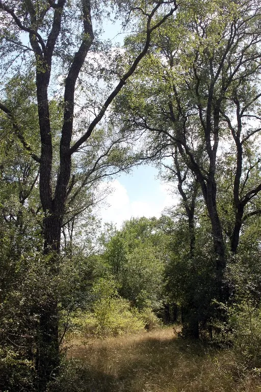 720 Green Acre Drive Dale, TX 78616