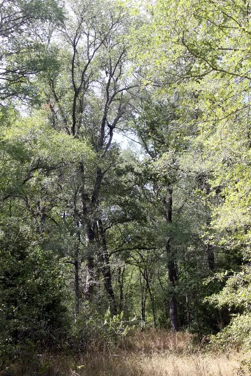 720 Green Acre Drive Dale, TX 78616