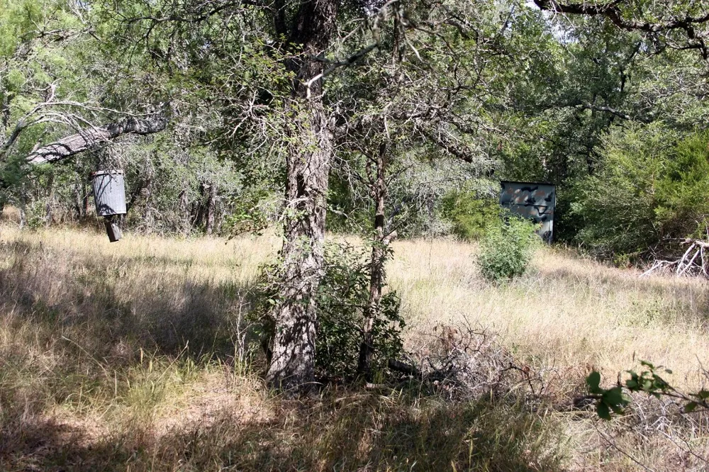 720 Green Acre Drive Dale, TX 78616
