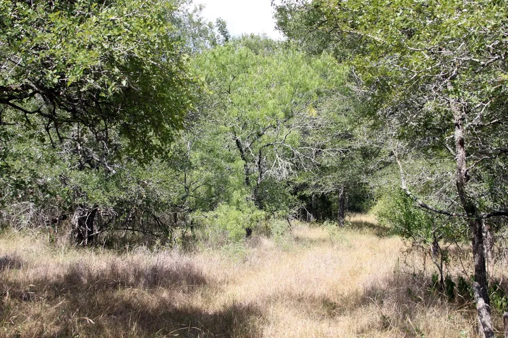 720 Green Acre Drive Dale, TX 78616