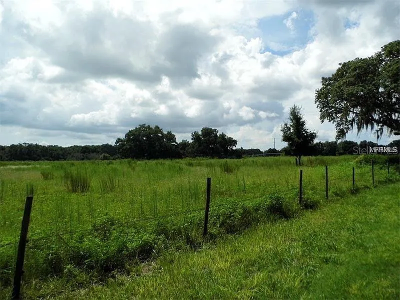 10201 TIMMONS ROAD Thonotosassa, FL 33592