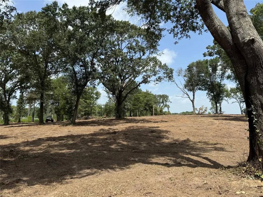 16393 State Highway 31 Tyler, TX 75709