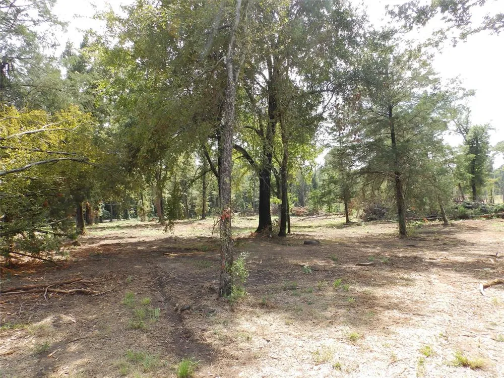 16393 State Highway 31 Tyler, TX 75709