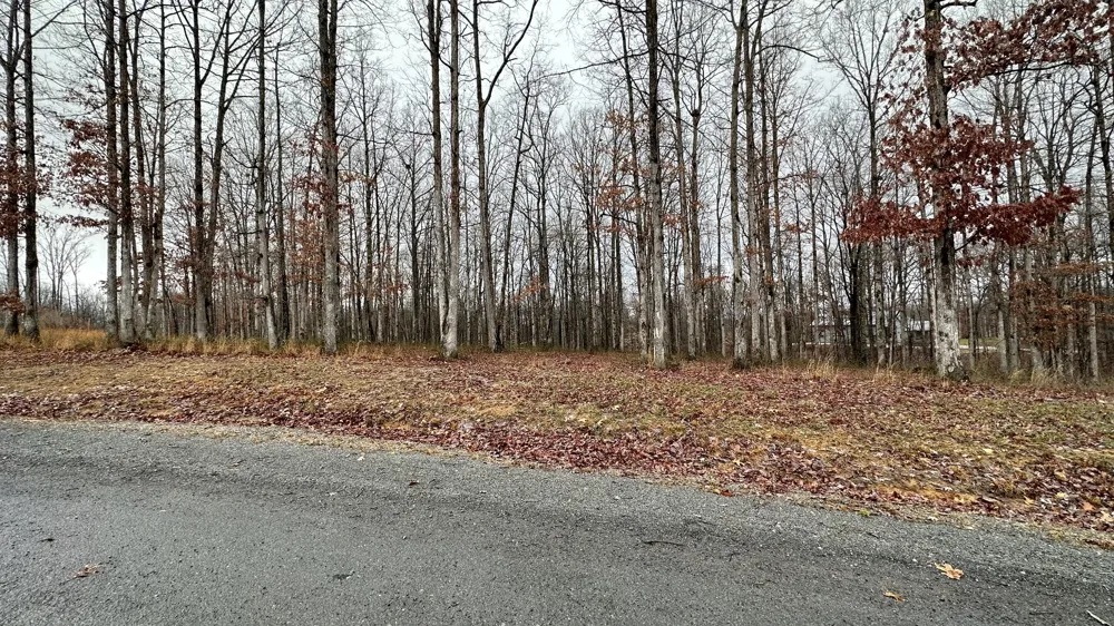 1385 Ridgewood Drive Mc Ewen, TN 37101