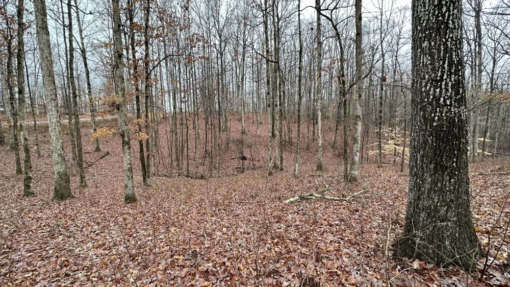 1385 Ridgewood Drive Mc Ewen, TN 37101