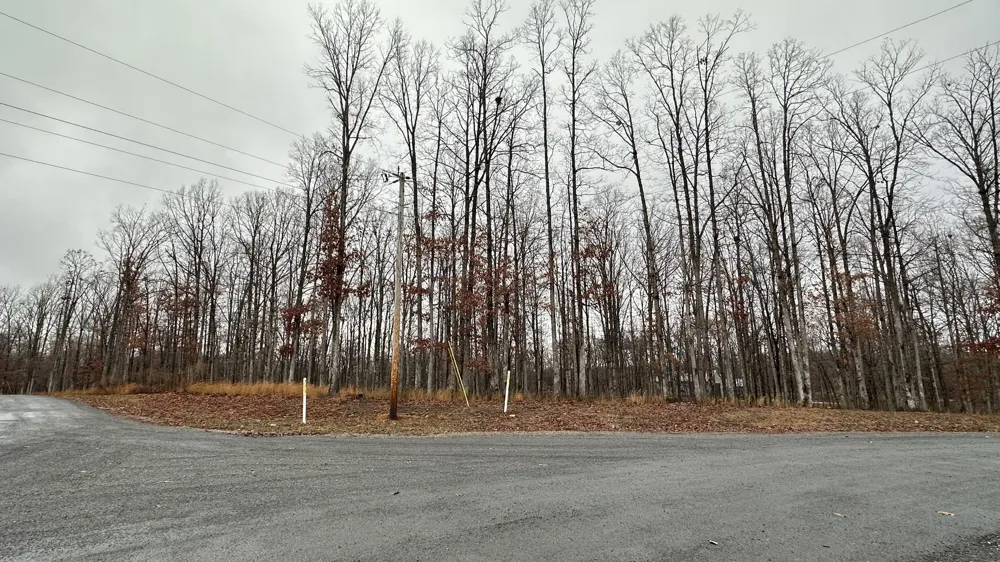 1385 Ridgewood Drive Mc Ewen, TN 37101