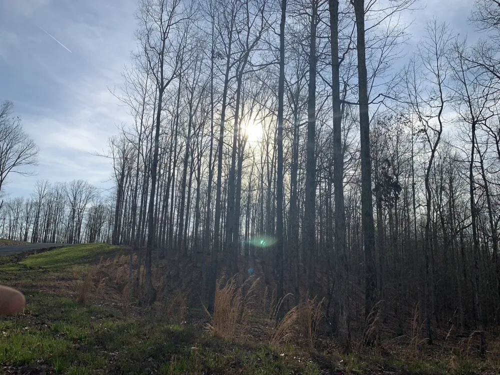 1385 Ridgewood Drive Mc Ewen, TN 37101