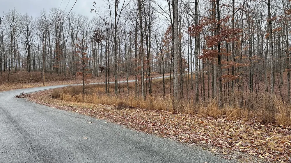 1385 Ridgewood Drive Mc Ewen, TN 37101