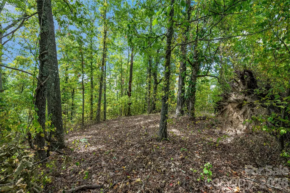 1380 Seven Glens Drive Weaverville, NC 28787
