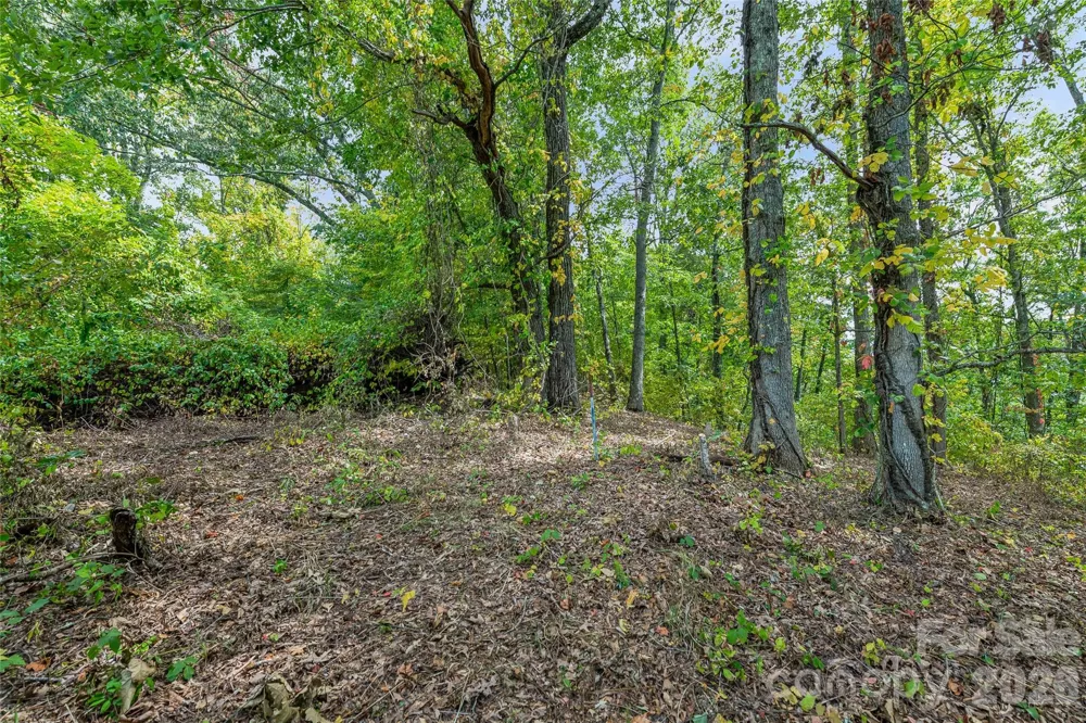 1380 Seven Glens Drive Weaverville, NC 28787