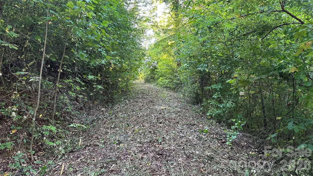 1380 Seven Glens Drive Weaverville, NC 28787