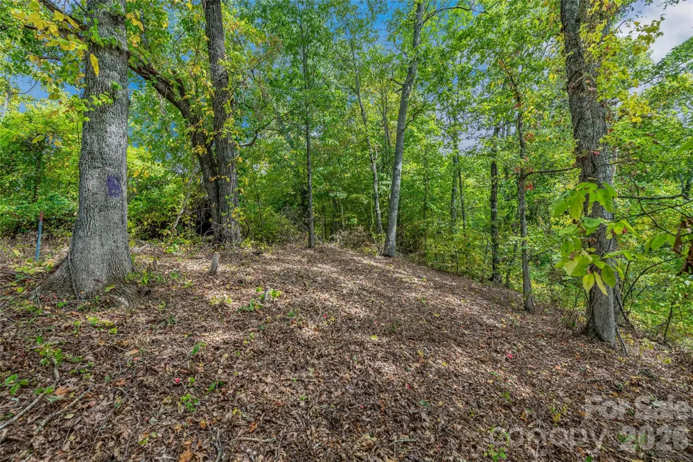 1380 Seven Glens Drive Weaverville, NC 28787