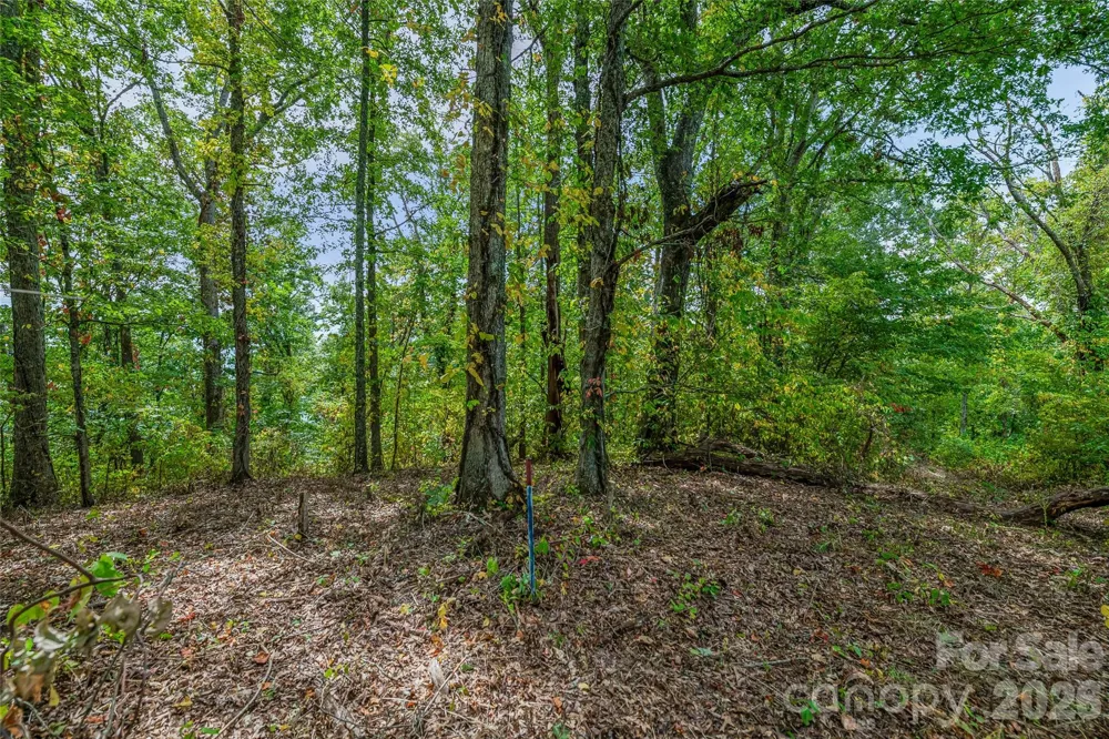 1380 Seven Glens Drive Weaverville, NC 28787
