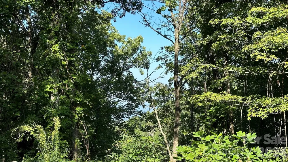 1380 Seven Glens Drive Weaverville, NC 28787