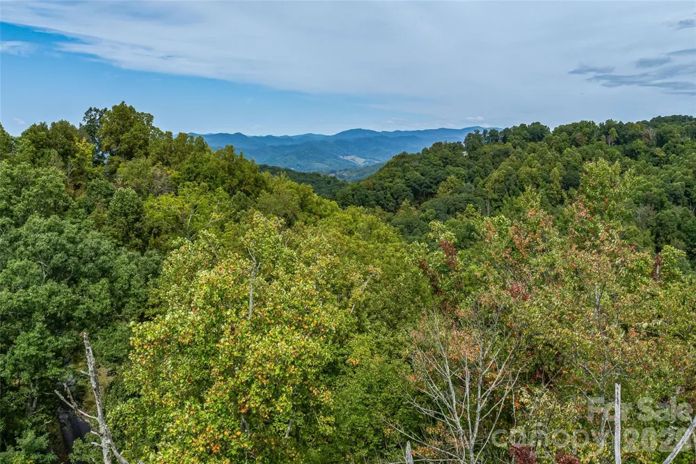 1380 Seven Glens Drive Weaverville, NC 28787