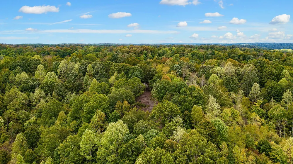 352 Briarwood Dr Linden, TN 37096