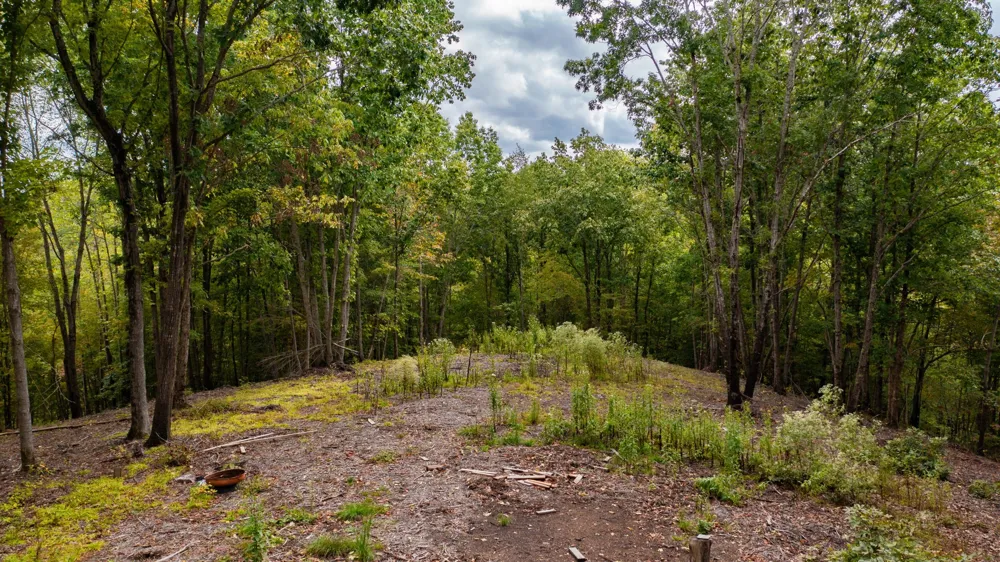 352 Briarwood Dr Linden, TN 37096