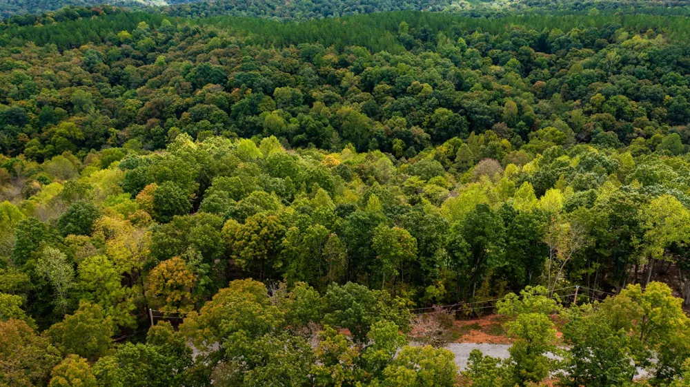 352 Briarwood Dr Linden, TN 37096
