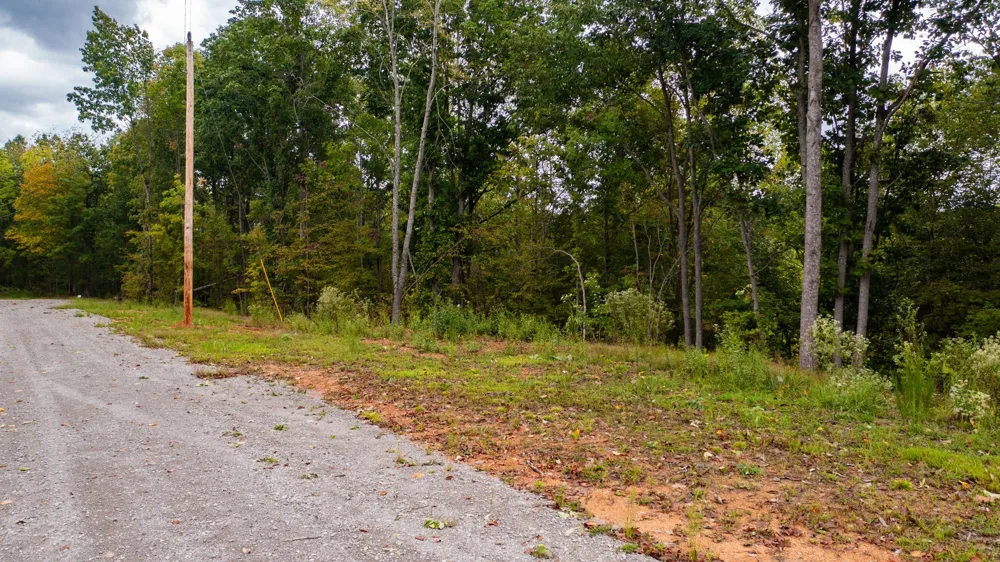 352 Briarwood Dr Linden, TN 37096
