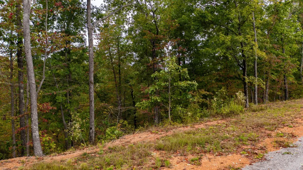 352 Briarwood Dr Linden, TN 37096