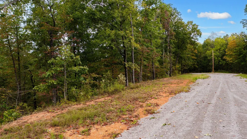 352 Briarwood Dr Linden, TN 37096