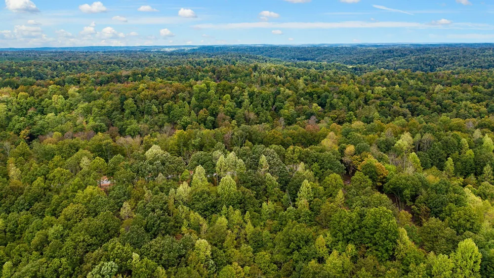 352 Briarwood Dr Linden, TN 37096