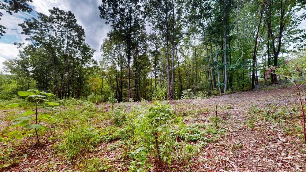 352 Briarwood Dr Linden, TN 37096