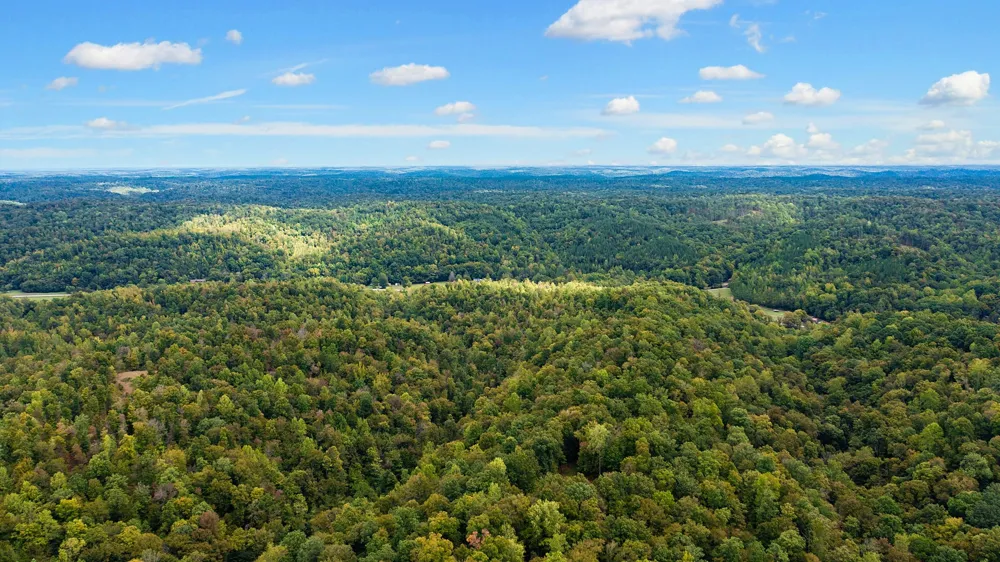 352 Briarwood Dr Linden, TN 37096