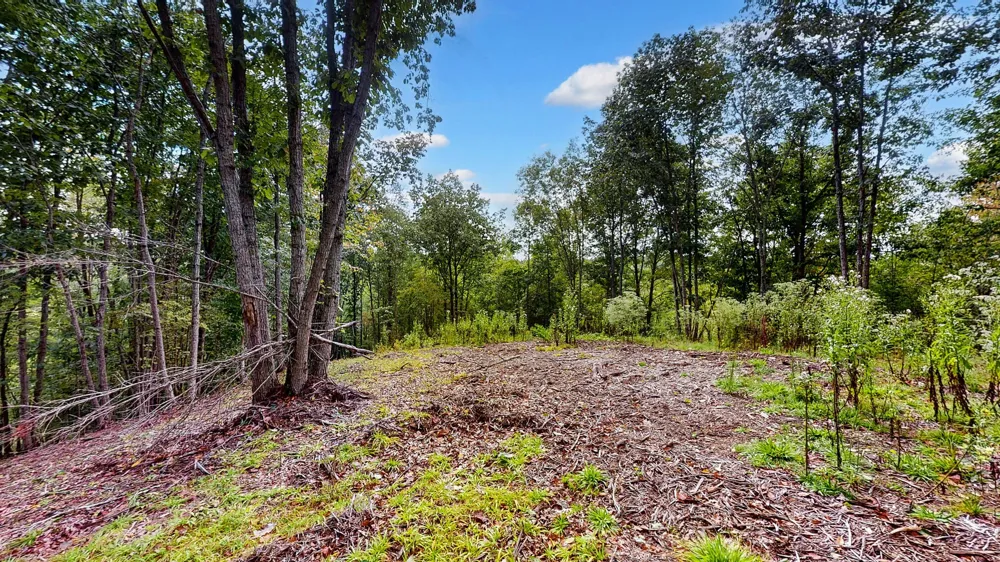 352 Briarwood Dr Linden, TN 37096