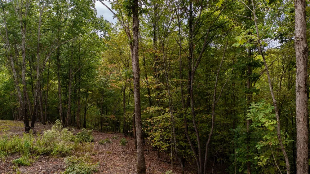 352 Briarwood Dr Linden, TN 37096
