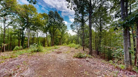 352 Briarwood Dr